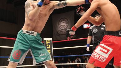 best mma shorts