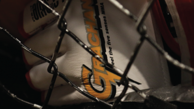 best mma gloves