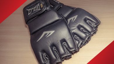 Everlast MMA gloves review