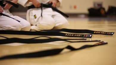 judo belt order