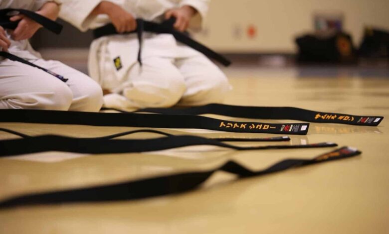 judo belt order