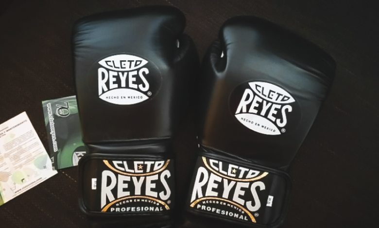 Cleto Reyes Training Gloves Review
