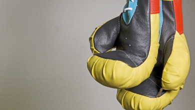 best boxing gloves under 100