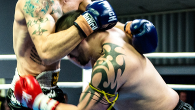 best muay thai gloves - featured image